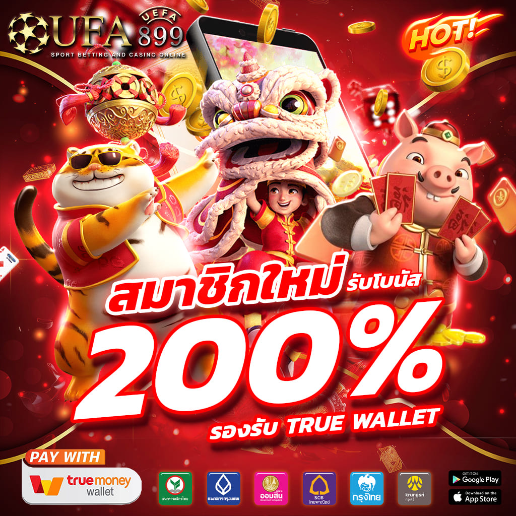 ไม่พบรูปภาพ